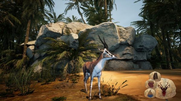 Animalia Survival