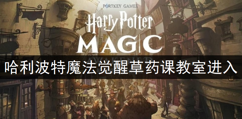 哈利波特魔法觉醒草药课教室进入方法说明