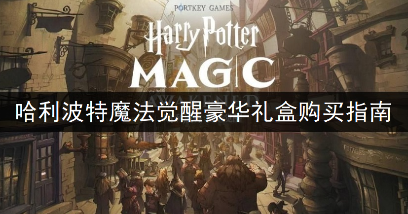 哈利波特魔法觉醒豪华礼盒购买指南