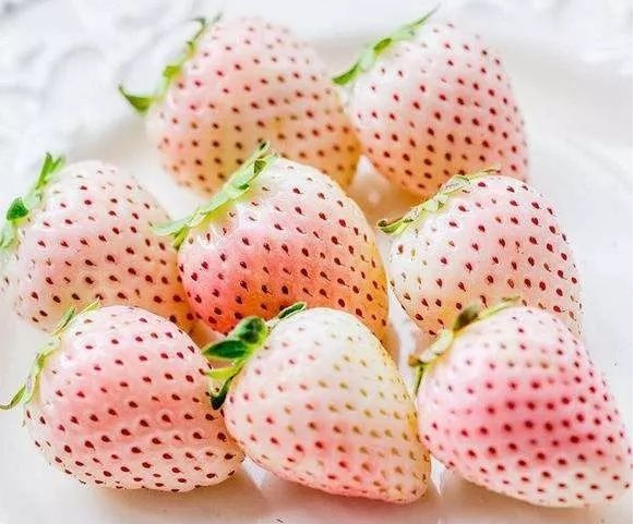 奶油草莓的得名是因为该品种的草莓
