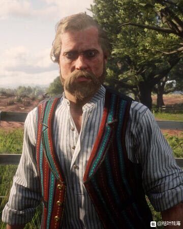 《荒野大镖客2》布雷斯韦特成员及背景一览