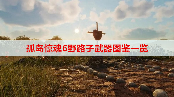 孤岛惊魂6野路子武器图鉴一览