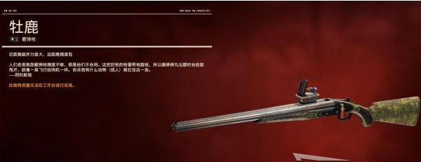 孤岛惊魂6全霰弹枪图鉴一览