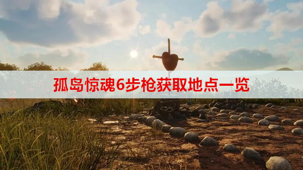 孤岛惊魂6步枪获取地点一览
