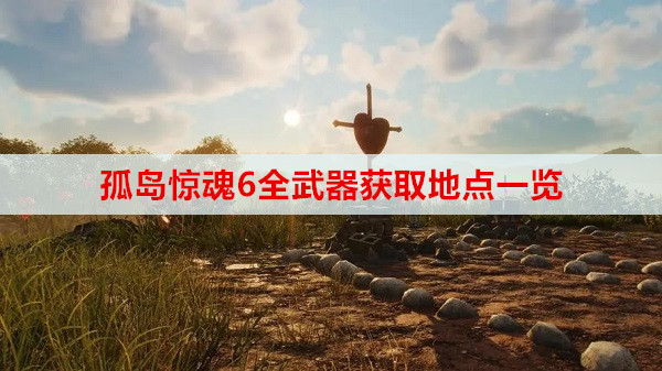 孤岛惊魂6全武器获取地点一览