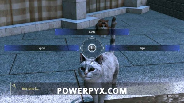 审判之逝唱片分布位置及收集攻略