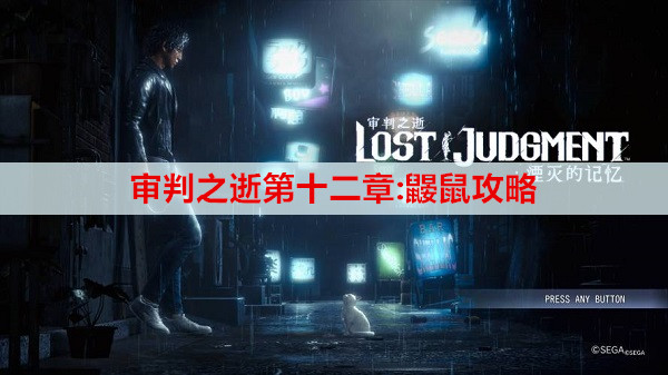 审判之逝第十二章:鼹鼠攻略