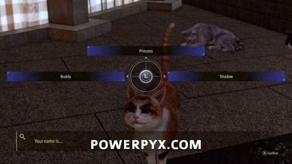 审判之逝支线案件#11-#15攻略