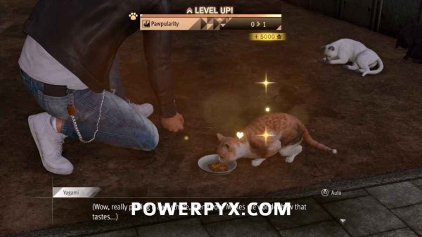 审判之逝支线案件#11-#15攻略