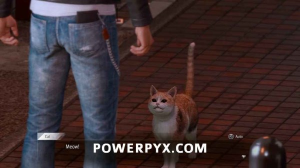 审判之逝支线案件#11-#15攻略