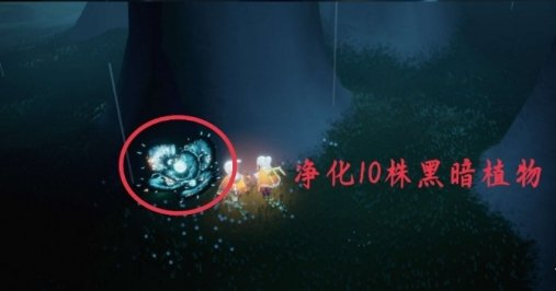 光遇10月8日每日任务怎么做