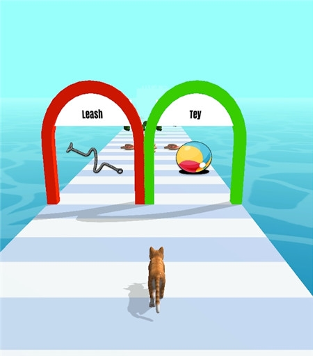 宠物赛跑3D