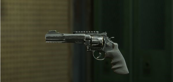 喋血复仇武器皮肤图鉴一览