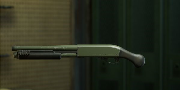 喋血复仇武器皮肤图鉴一览