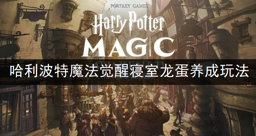 哈利波特魔法觉醒寝室龙蛋养成玩法分享