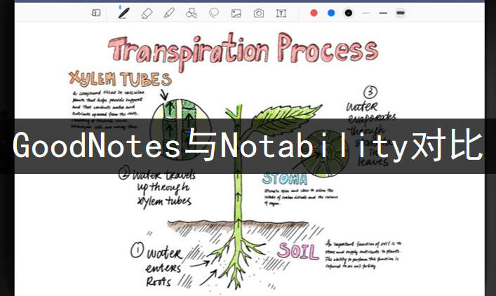 GoodNotes与Notability对比一览