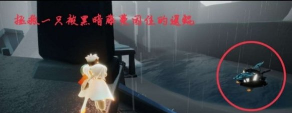 光遇11月11日每日任务怎么做