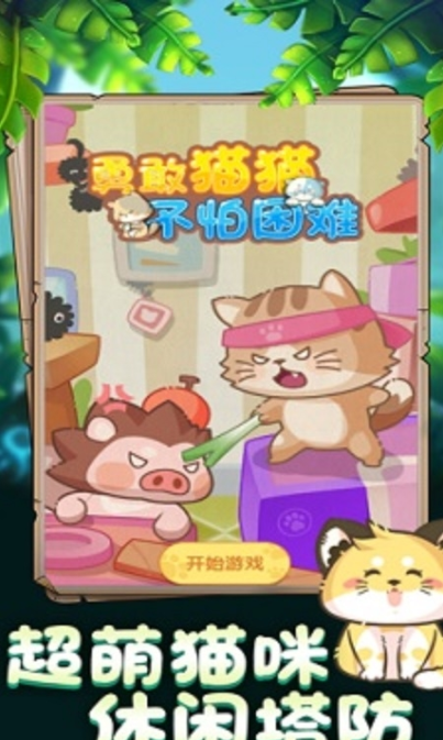 勇敢猫猫不怕困难