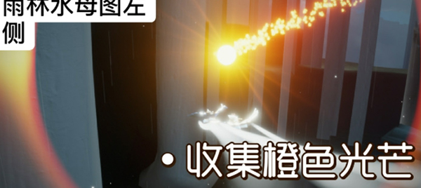 光遇11月26日每日任务怎么做