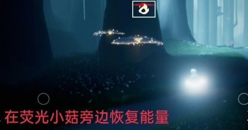 光遇12月5日每日任务怎么做
