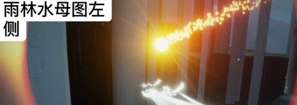 光遇12月6日每日任务怎么做