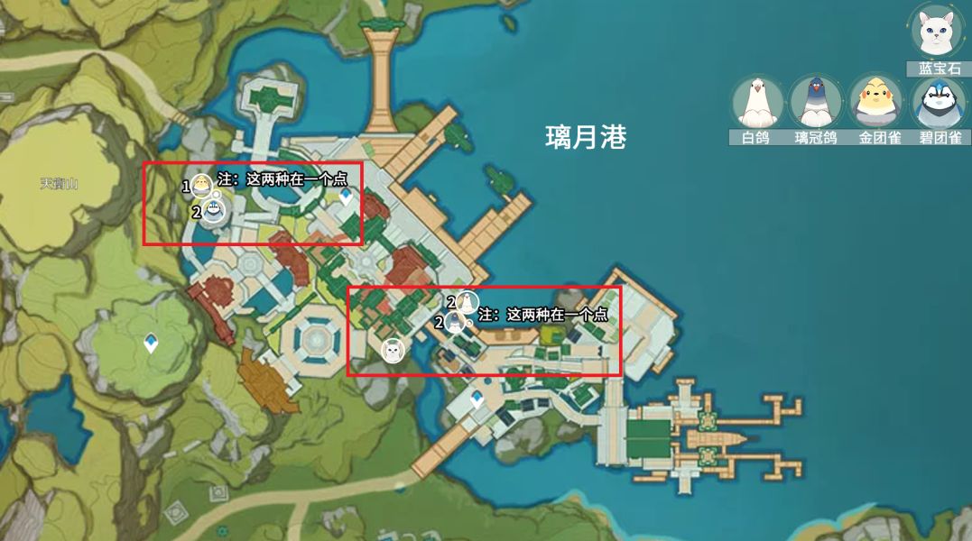 原神四方八方之网捕捉攻略