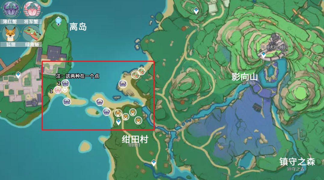 原神四方八方之网捕捉攻略