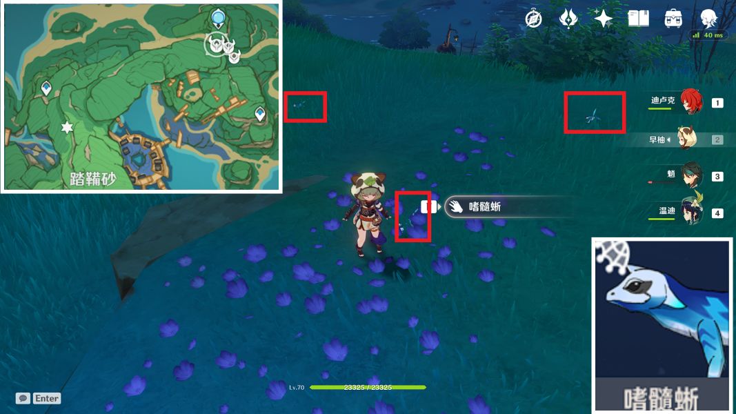 原神四方八方之网捕捉攻略