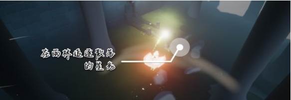 光遇12月10日每日任务怎么做