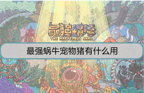 最强蜗牛宠物猪有什么用