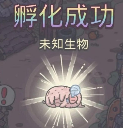 最强蜗牛宠物猪有什么用