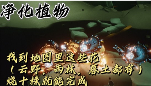 光遇12月31日每日任务怎么做