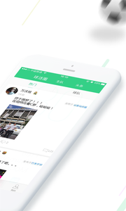 球果