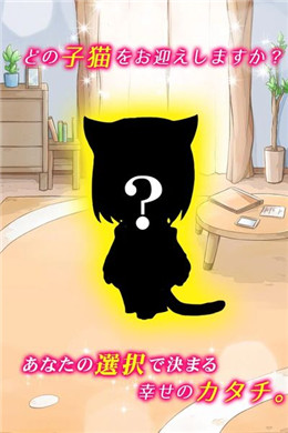 和猫一起生活