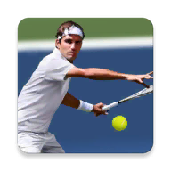 网球公开赛终极3D