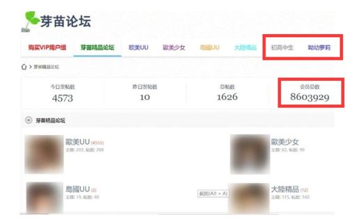 揭秘！轻松掌握：如何查看免费网站在线观看人数的神秘途径