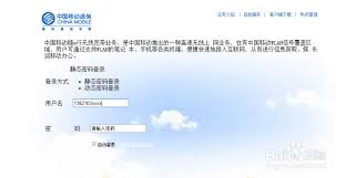优化中国移动CMCC-EDU登录界面的策略与方法：提高用户体验的搜索友好型标题