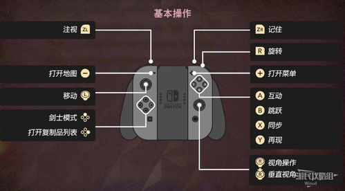 全攻略：宝箱与心之碎片的完美收集大法