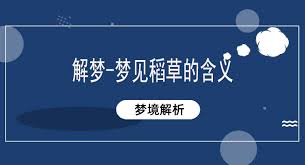 梦见干草叉：揭秘古老预兆中的神秘信号，你的梦境在暗示什么？