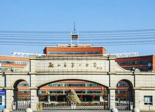 揭秘：辽宁省阜新矿院究竟是几本院校？权威答案在这里！