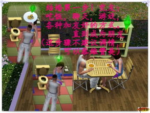 揭秘《模拟人生3》高分秘籍：打造梦幻生活的终极攻略！