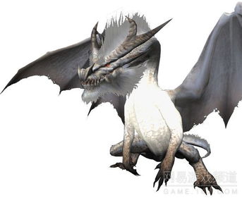 《怪物猎人》系列中的骨格概念解析