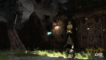 《旺达与巨像》、ICO及《最后守护者》：剧情交织与深度联系解析