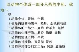 揭秘！药用价值：如何赋予普通植物神奇医疗功效？