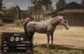《荒野大镖客2》全种类马匹毛色图鉴：一目了然的收藏版