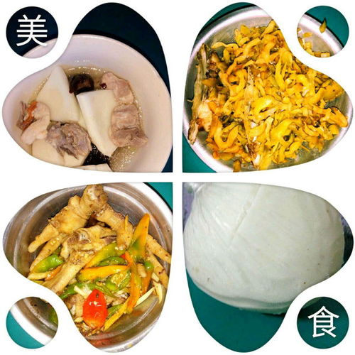 美食秘籍大公开：食谱宝典+烹饪技巧全攻略，轻松变身烹饪达人！