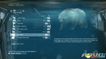 《合金装备5：幻痛》全面动物收集指南及位置详览