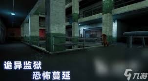 揭秘尼斐塞特监狱：惊人改造计划如何重塑囚犯人生