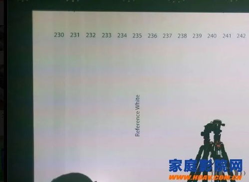 解读FZ：它代表什么含义？