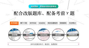 注册工程师：职业定义与角色概述